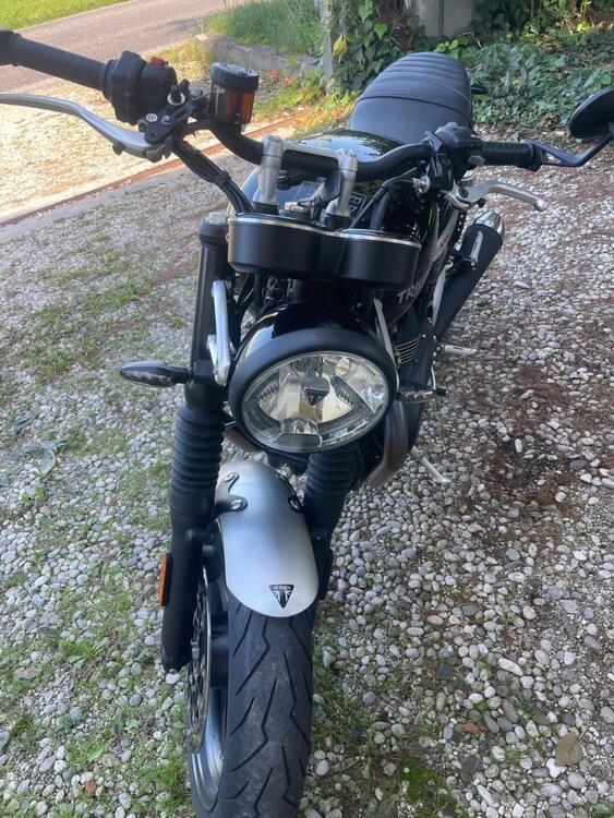Triumph Speed Twin 1200 (2019 - 20) (2)