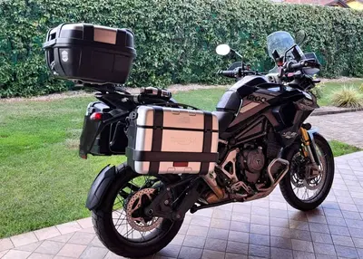 Triumph Tiger 1200 Rally Pro (2022 - 23) usata