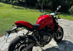 Ducati Monster 821 (2018 - 20) usata