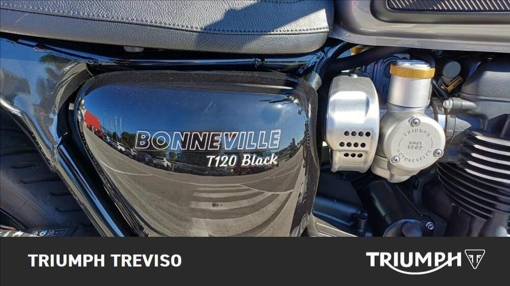 Triumph Bonneville T120 (2021 - 25) (3)