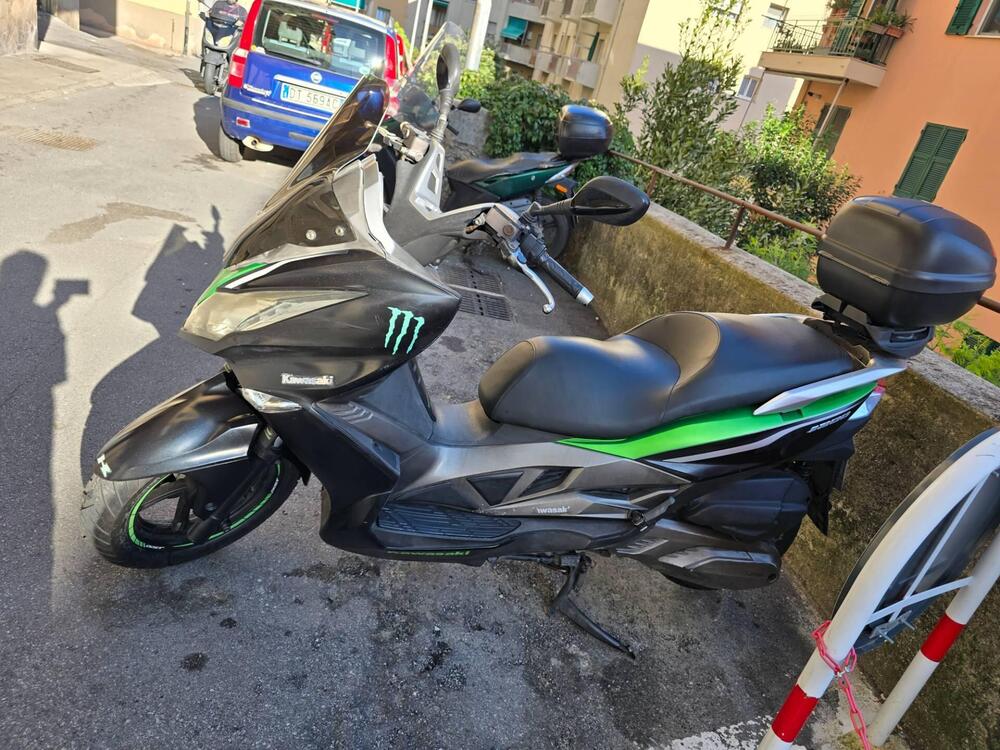 Kawasaki J 300 ABS (2014 - 16) (2)