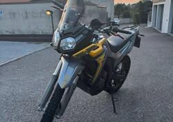 Voge Valico 300 Rally (2022 - 25) usata