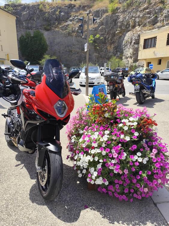 MV Agusta Turismo Veloce 800 (2020)