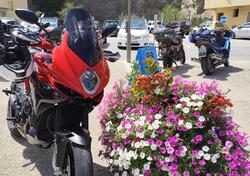 MV Agusta Turismo Veloce 800 (2020) usata