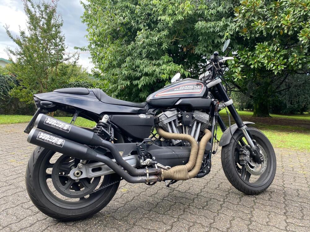 Harley-Davidson 1200 XR (2009 - 12)