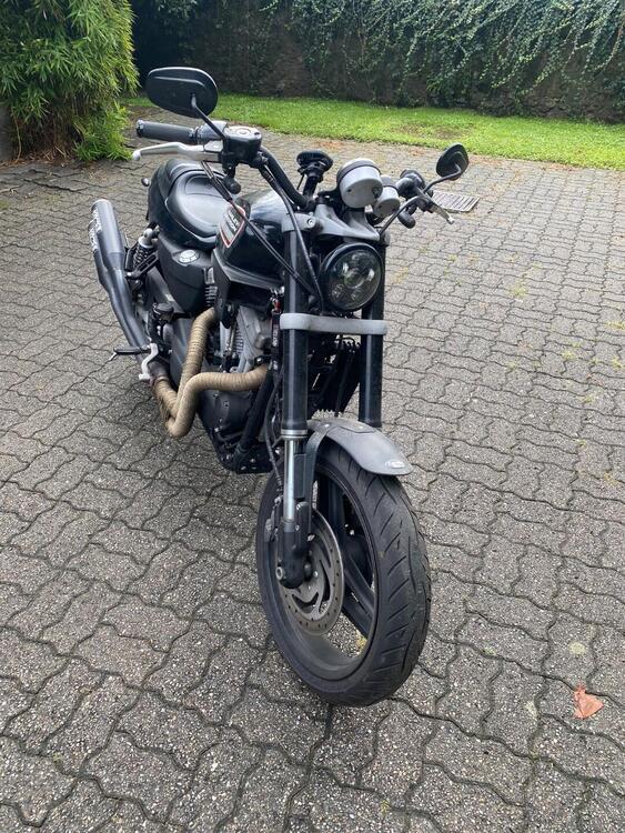 Harley-Davidson 1200 XR (2009 - 12) (5)