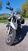 Bmw R 1150 R (2000 - 07) (10)