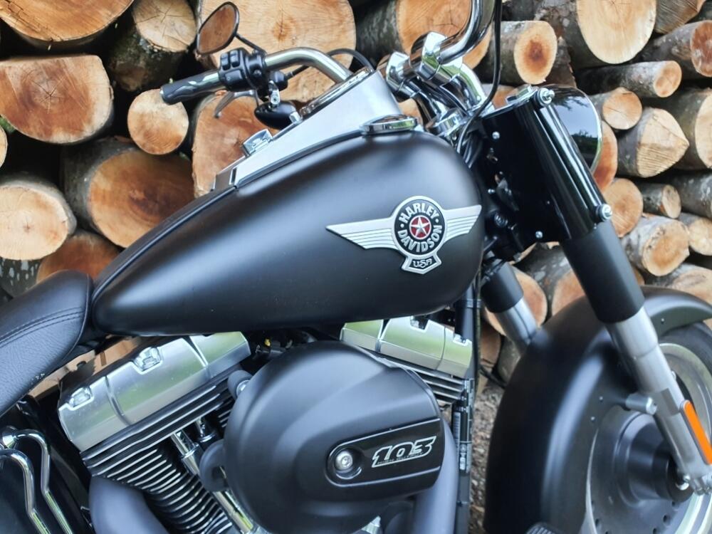 Harley-Davidson 1690 Fat Boy Special (2010 - 17) - FLSTF (3)