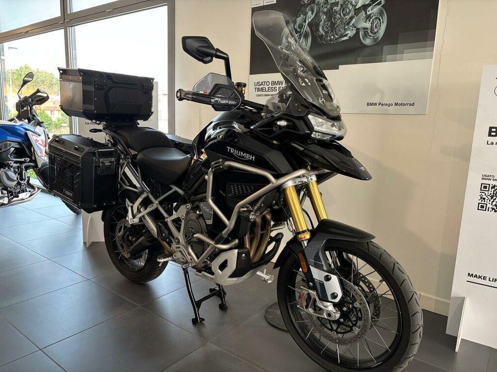 Triumph Tiger 1200 Rally Explorer (2022 - 23) (2)