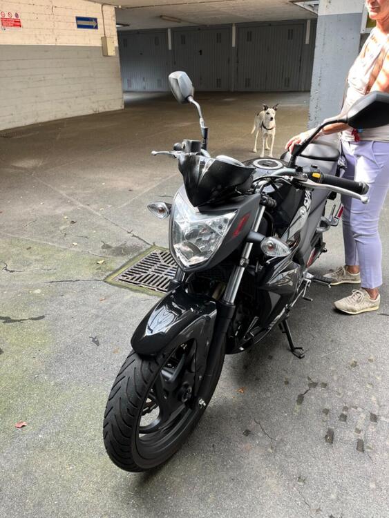 Sym SB 250 Ni (2012 - 14) (5)