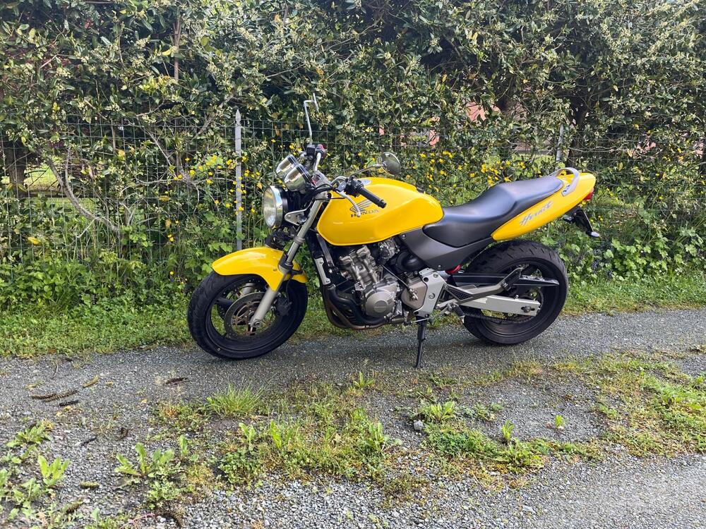 Honda Hornet 600 (2000 - 02)