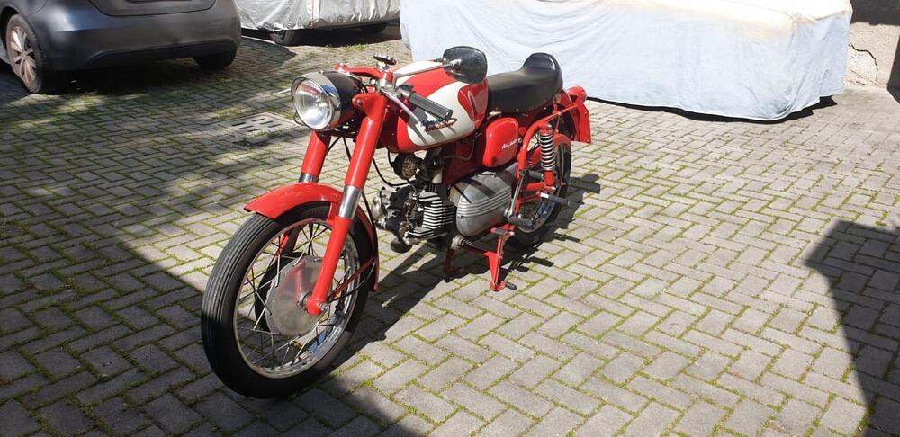 Aermacchi Harley-Davidson Ala verde 250