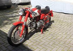 Aermacchi Harley-Davidson Ala verde 250 d'epoca