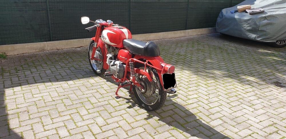 Aermacchi Harley-Davidson Ala verde 250 (2)