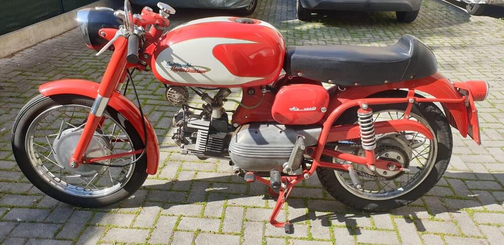 Aermacchi Harley-Davidson Ala verde 250 (3)