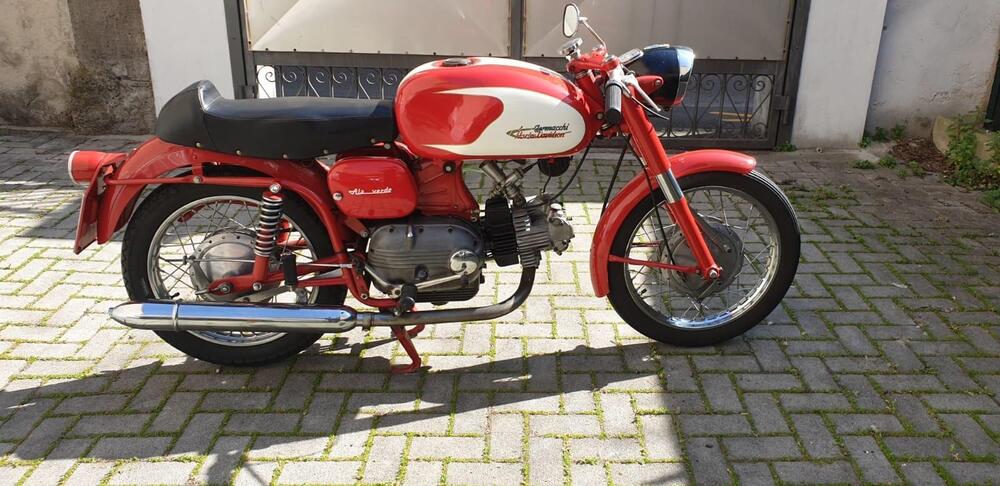 Aermacchi Harley-Davidson Ala verde 250 (4)
