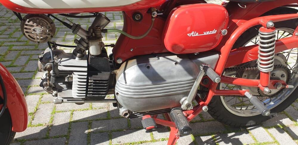 Aermacchi Harley-Davidson Ala verde 250 (5)