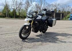 Triumph Tiger 800 ABS (2010 - 14) usata