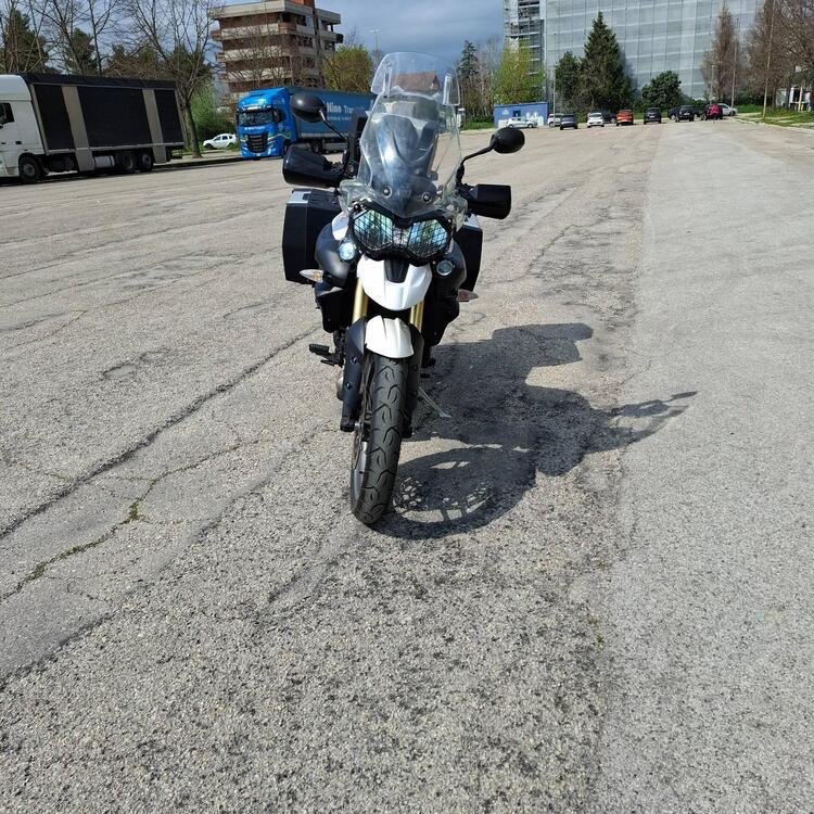 Triumph Tiger 800 ABS (2010 - 14) (2)