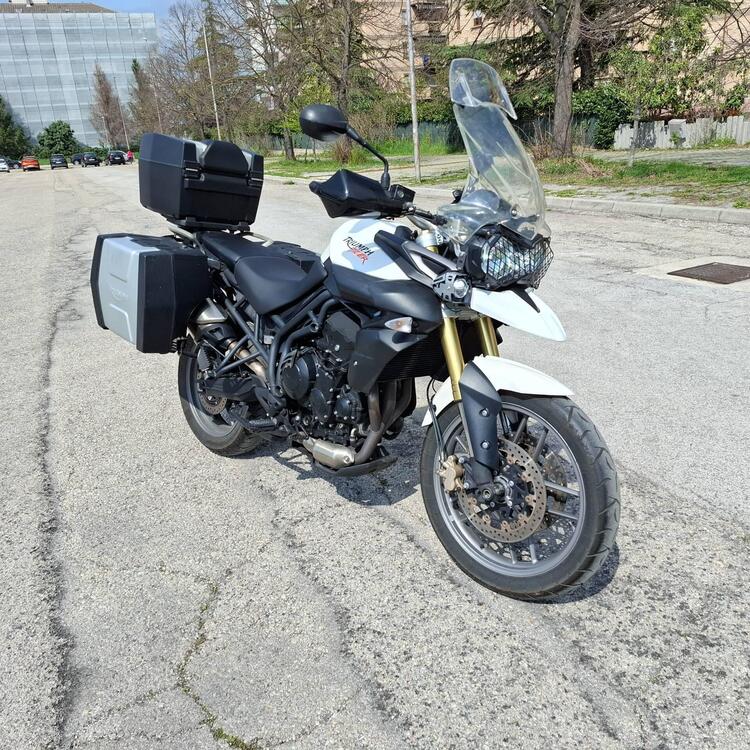 Triumph Tiger 800 ABS (2010 - 14) (3)