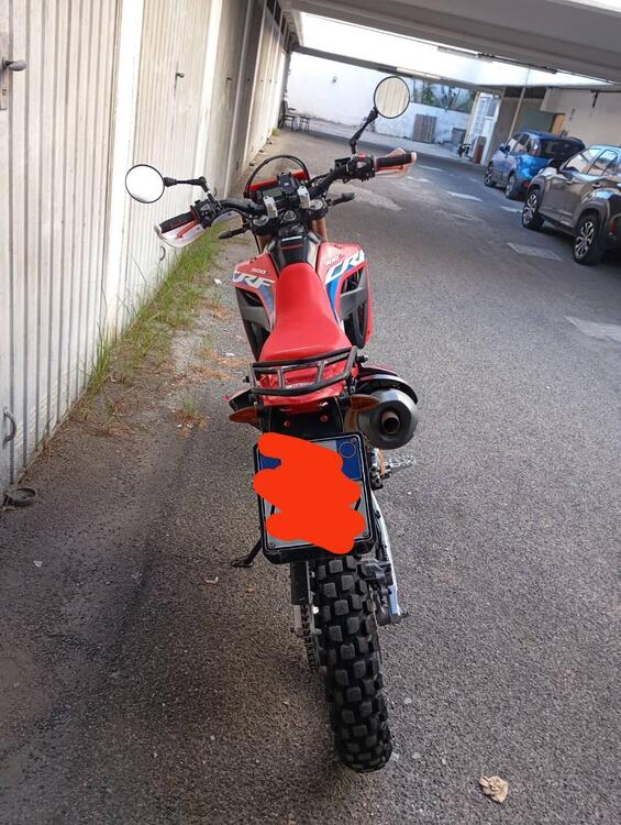 Honda CRF 300 L (2021 - 24) (3)