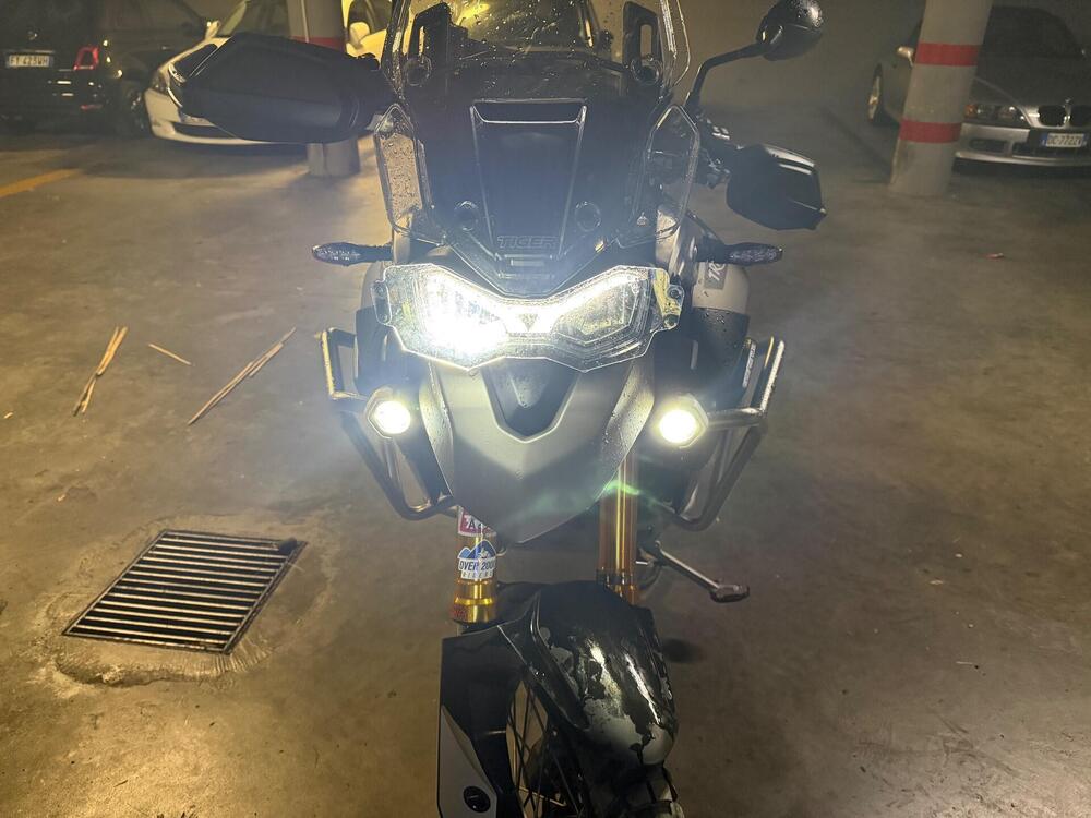 Triumph Tiger 900 Rally Pro (2020 - 23) (4)