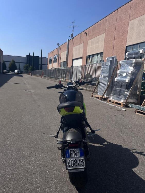 Triumph Trident 660 (2021 - 24) (5)