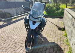 Triumph Tiger 1200 GT Pro (2022 - 23) usata