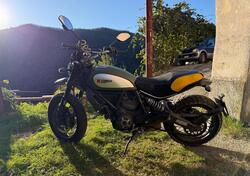 Ducati Scrambler 800 Urban Enduro (2015 - 16) usata