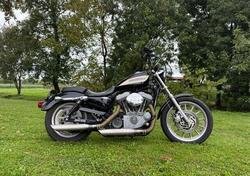 Harley-Davidson 1200 Roadster (2002 - 05) - XL 1200R usata