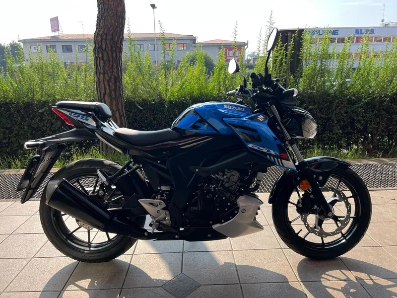 Suzuki GSX-S125 (2022 - 24) (2)