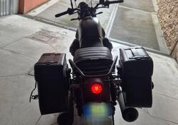 Moto Guzzi V7 Stone (2021 - 24) usata