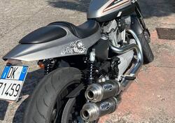 Harley-Davidson 1200 XR (2009 - 12) usata