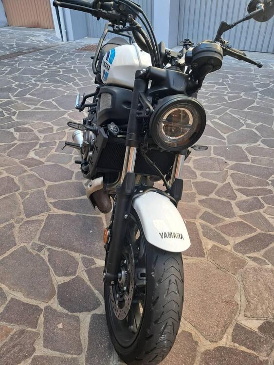 Yamaha XSR 700 (2022 - 25) (4)