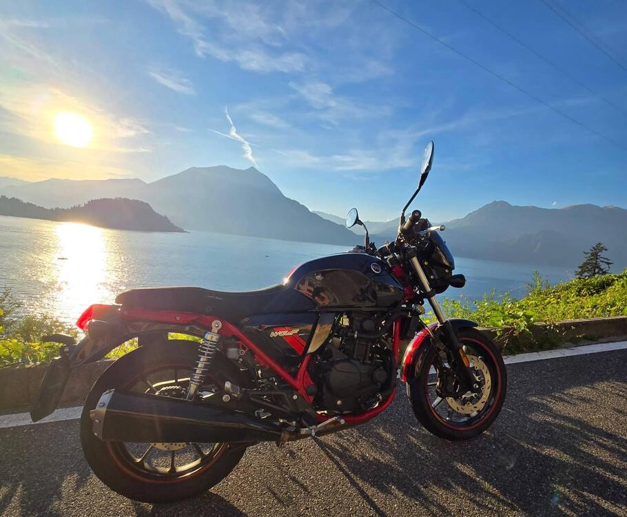 Sym Wolf CR 300 (2019 - 20) (2)