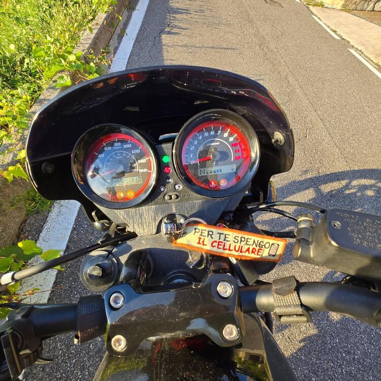 Sym Wolf CR 300 (2019 - 20) (4)