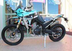 Kove 800 Rally (2025) nuova