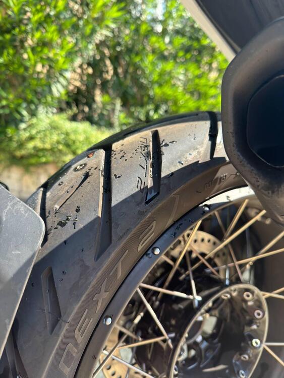 Bmw R 1300 GS Trophy (2023 - 25) (5)