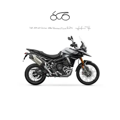Triumph Tiger 900 Rally Pro (2024 - 26) nuova