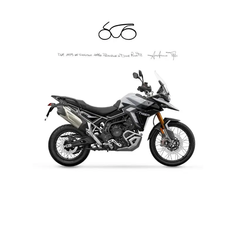 Triumph Tiger 900 Rally Pro (2024 - 26)