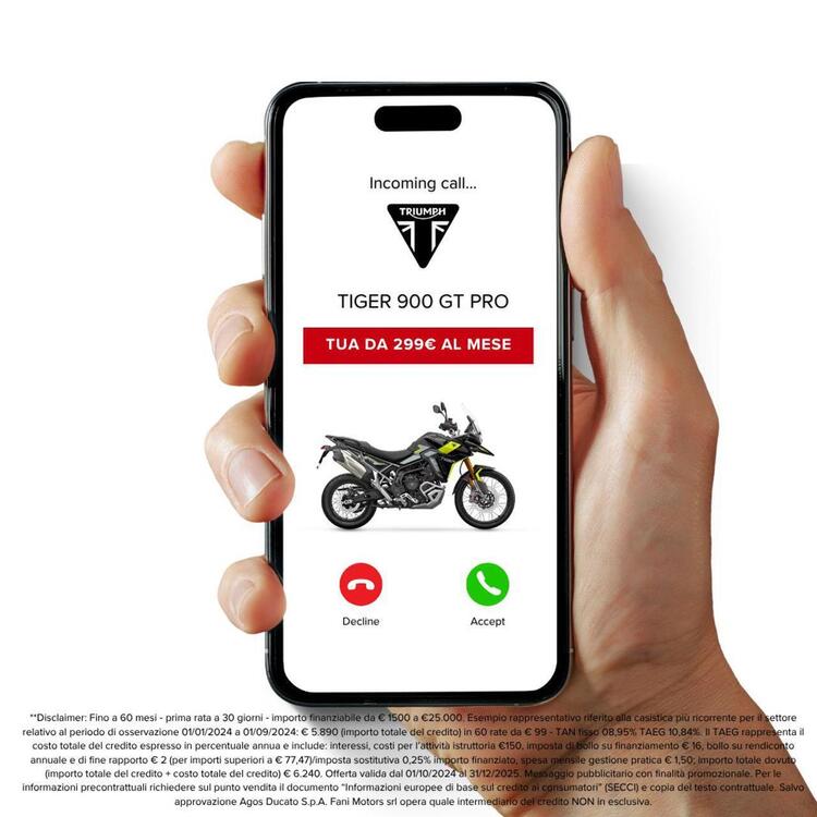 Triumph Tiger 900 Rally Pro (2024 - 25) (3)