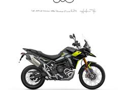 Triumph Tiger 900 Rally Pro (2024 - 25) nuova