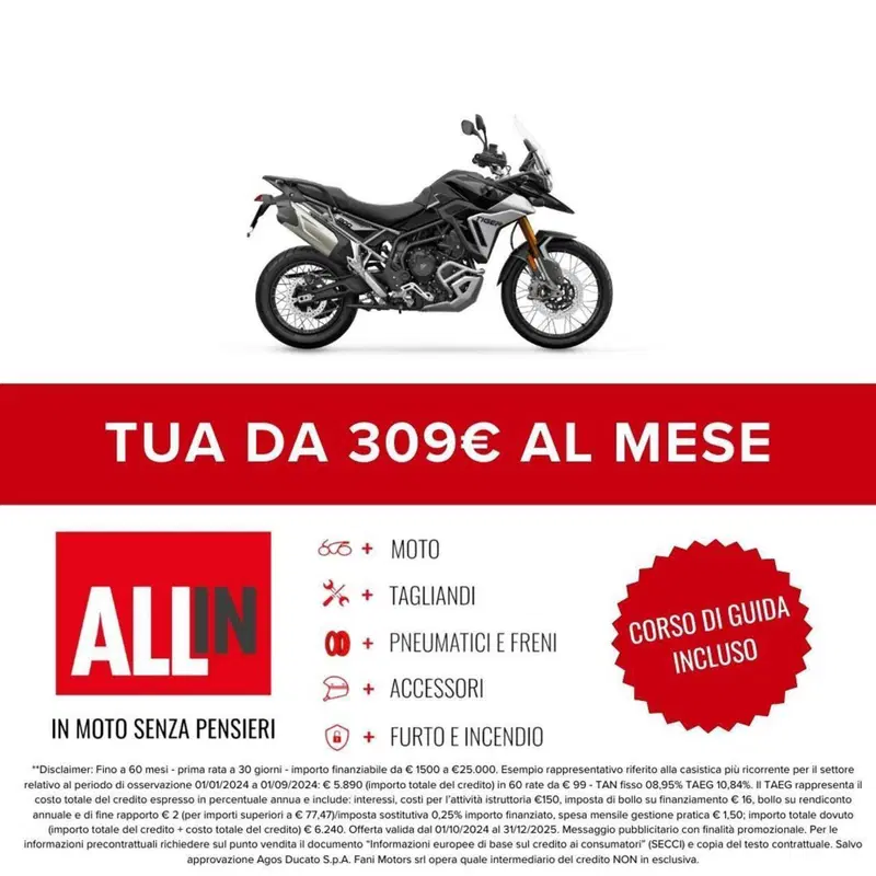 Triumph Tiger 900 Rally Pro (2024 - 26) (2)