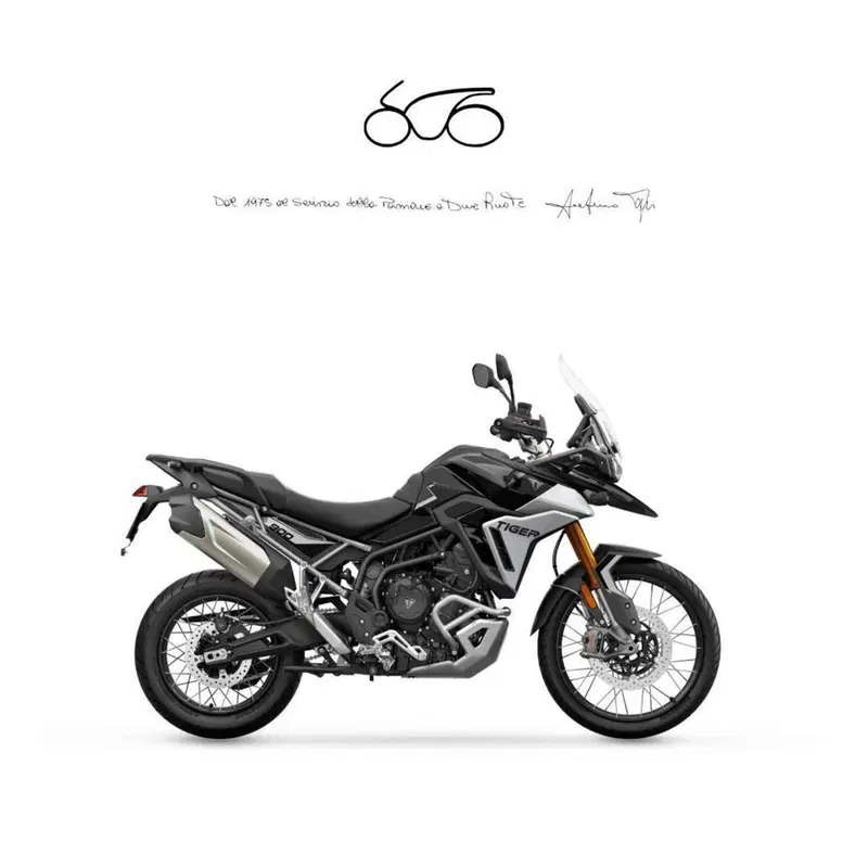 Triumph Tiger 900 Rally Pro (2024 - 26)