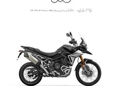 Triumph Tiger 900 Rally Pro (2024 - 25) nuova