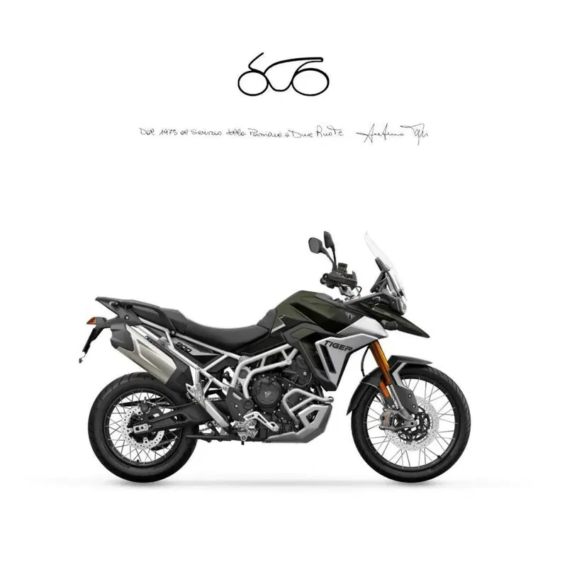 Triumph Tiger 900 Rally Pro (2024 - 26)