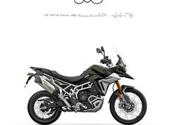 Triumph Tiger 900 Rally Pro (2024 - 25) nuova