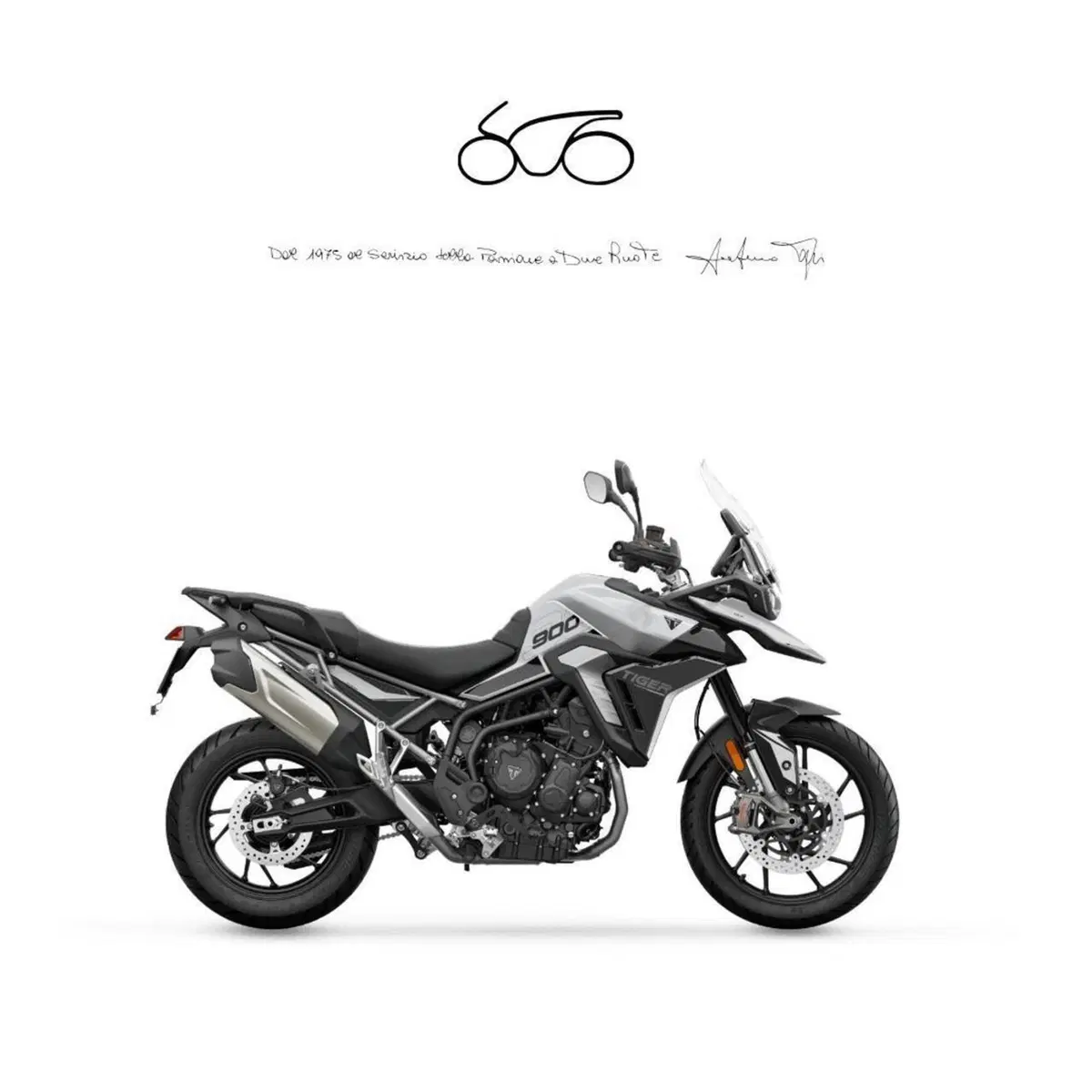 Triumph Tiger 900 GT (2024 - 26)