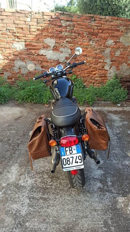 Triumph Bonneville T100 (2021 - 25) (2)