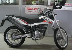 Betamotor Alp 4.0 (2008 - 17) usata